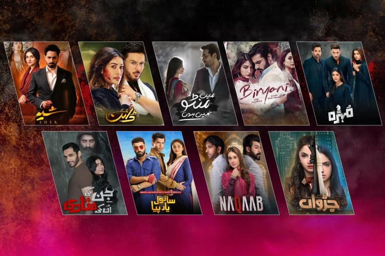 Pakistani Dramas With Highest TRP Ratings in 2025